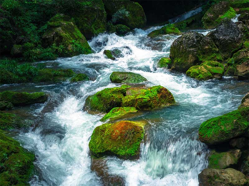 水质检测总氮标准