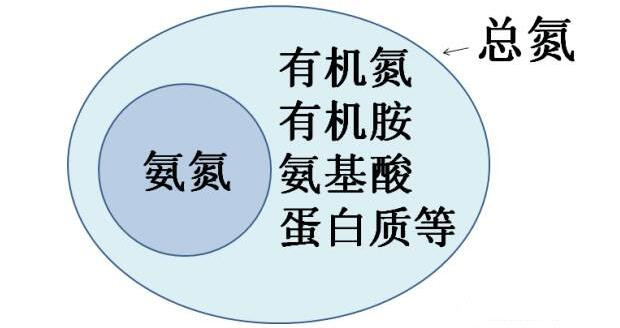 污水中总氮和氨氮的关系