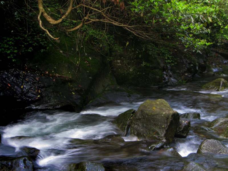 氨氮在线监测仪原理