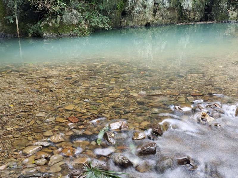 地表水水质检测标准限值是多少