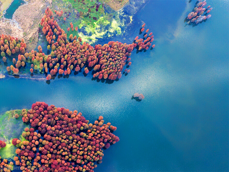 总磷测定仪是用来做什么的