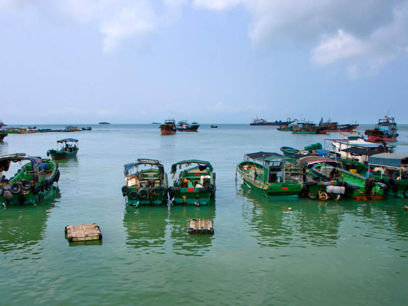 【对比】荧光法与膜法（极谱法）溶解氧分析仪区别