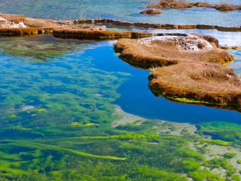 地表水总磷总氮标准限值（总磷总氮超标处理方法）