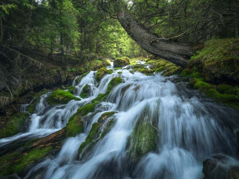 氨氮在线分析仪安装位置怎么确定（水质氨氮在线分析仪安装要求）