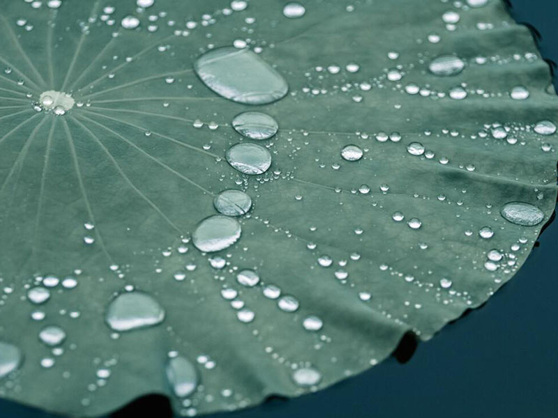 水质微生物检验的基本原理