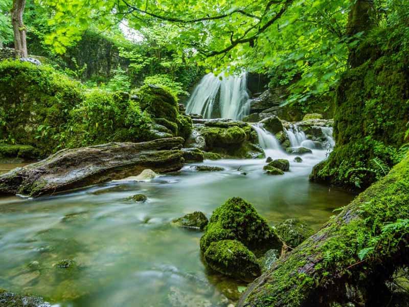 总氮和氨氮有什么关系（污水总氮超标处理办法）