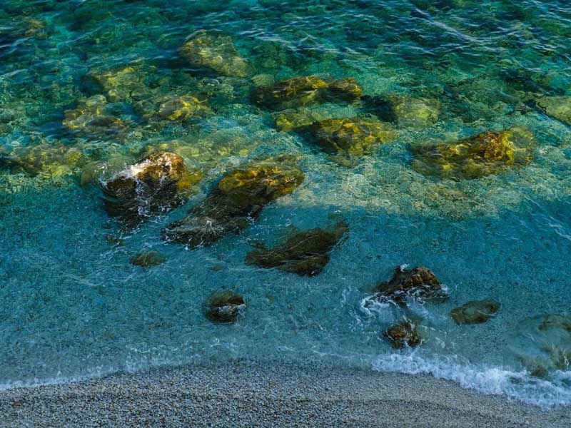 水中细菌检测方法（水中细菌检测指标有哪些）