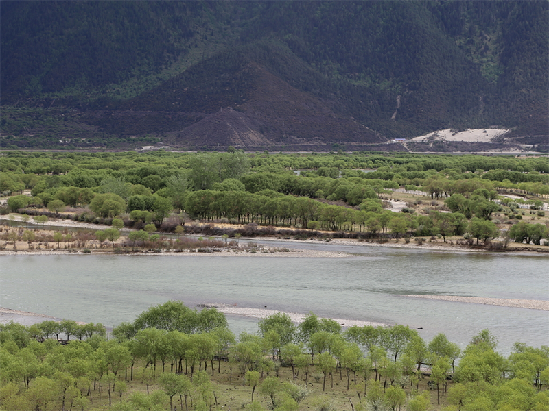 水体硫化氢危害与控制措施（硫化氢检测质量控制）