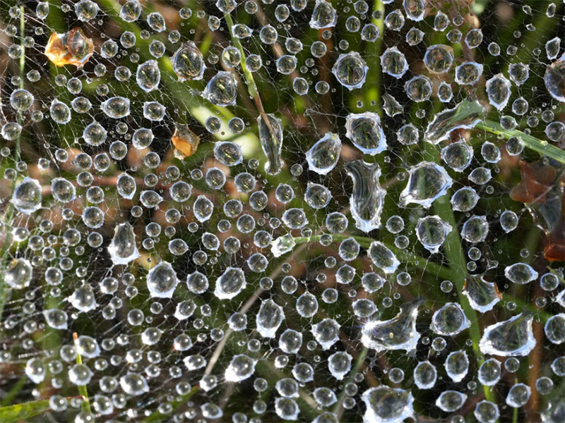 手持水质重金属检测仪测定指标