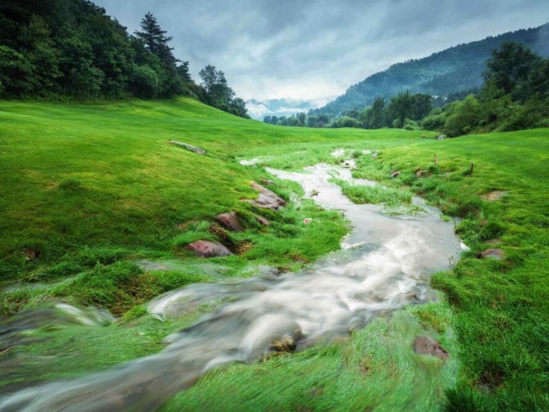 氨氮与总氮的区别与转化