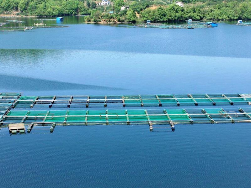 COD水质在线自动监测仪用途