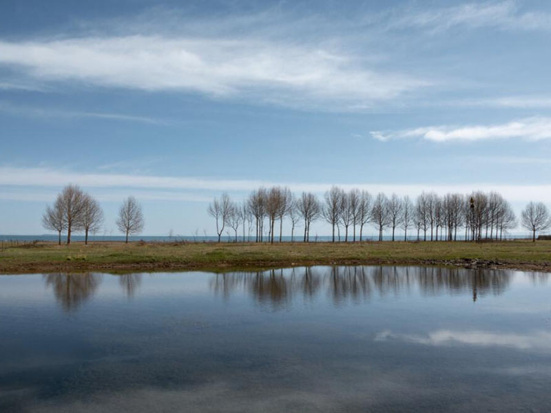 农村黑臭水体治理要求