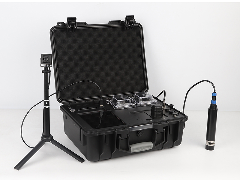 农村黑臭水体治理原则