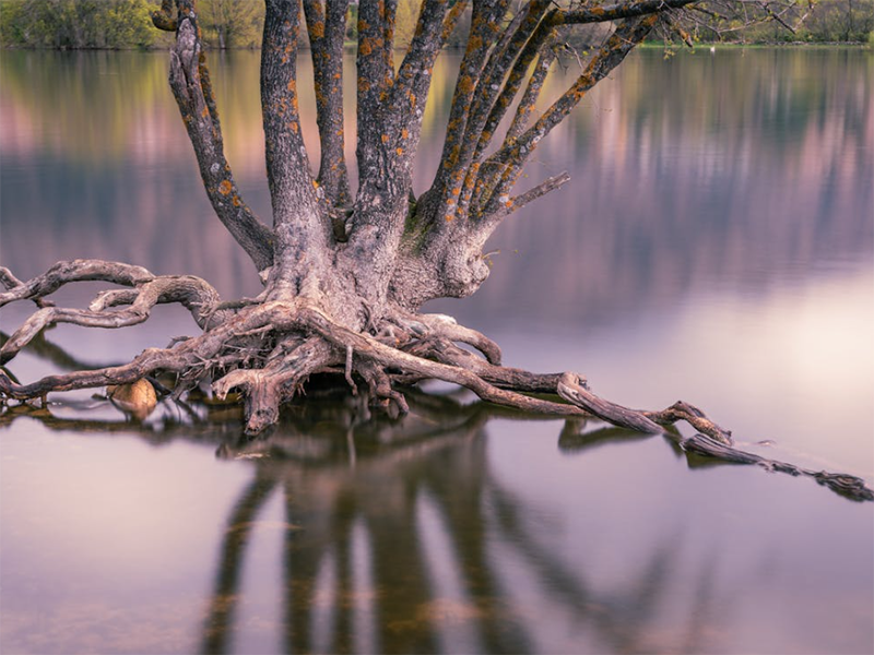 水质浊度检测的必要性
