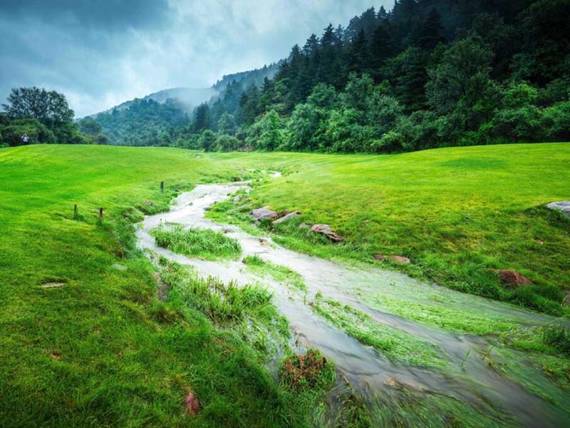 手持式总氮检测仪厂家