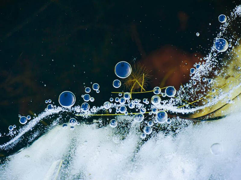 水质重金属检测仪如何选