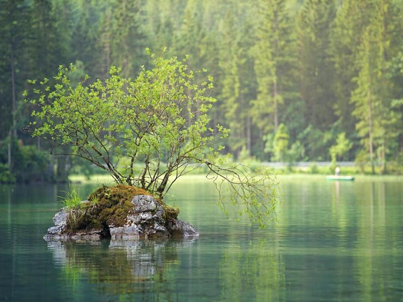 氨氮与总磷超标原因分析