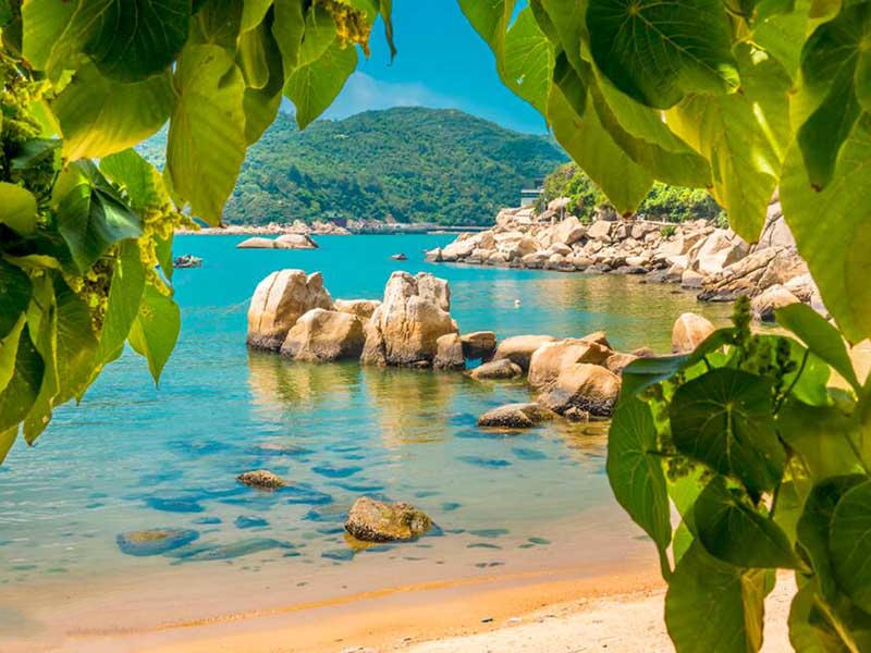 总磷检测仪测定前处理要求（总磷检测仪空白显示蓝色如何处理）