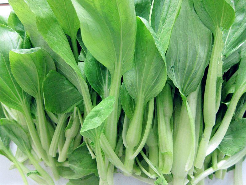 蔬菜农残检测设备，让蔬菜更“绿色”