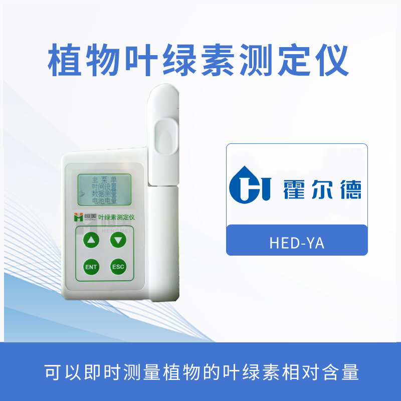 植物生长所需要的条件有哪些