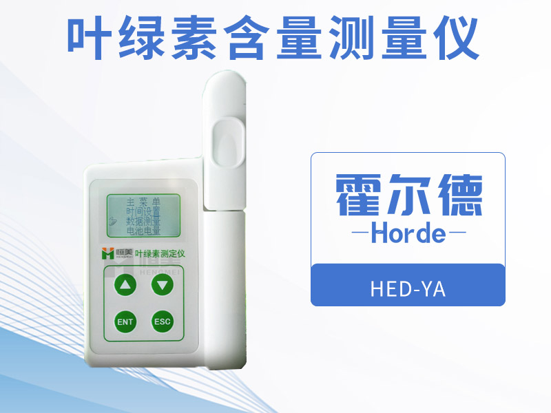 怎样可以检测植物中的叶绿素含量